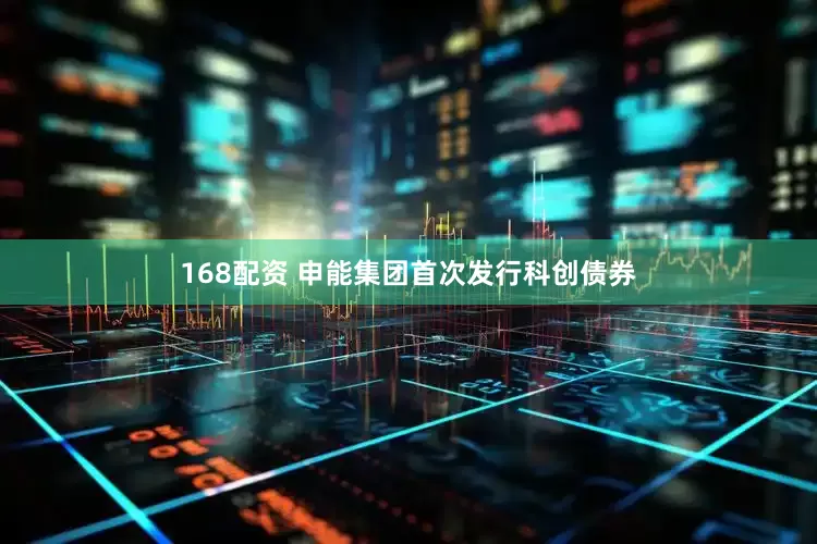 168配资 申能集团首次发行科创债券